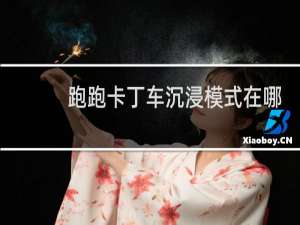 跑跑卡丁车沉浸模式在哪