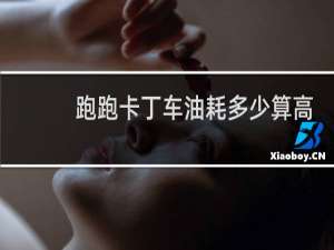 跑跑卡丁车油耗多少算高