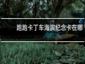 跑跑卡丁车海滨纪念卡在哪
