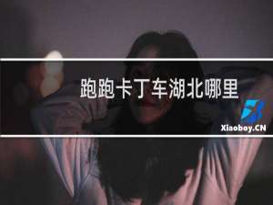 跑跑卡丁车湖北哪里