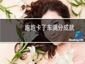 跑跑卡丁车满分成就