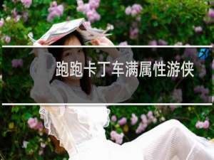 跑跑卡丁车满属性游侠
