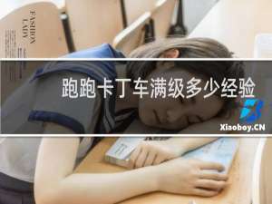 跑跑卡丁车满级多少经验