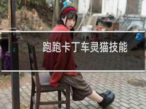 跑跑卡丁车灵猫技能
