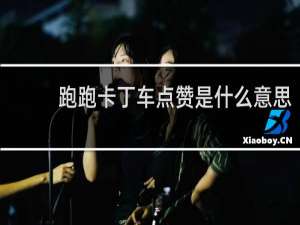跑跑卡丁车点赞是什么意思