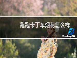 跑跑卡丁车烟花怎么样