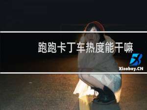 跑跑卡丁车热度能干嘛