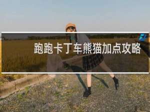 跑跑卡丁车熊猫加点攻略