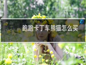 跑跑卡丁车熊猫怎么买