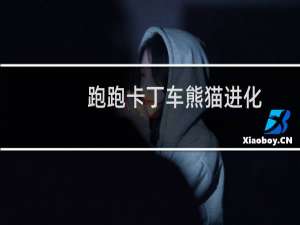 跑跑卡丁车熊猫进化