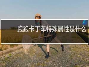 跑跑卡丁车特殊属性是什么