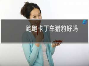 跑跑卡丁车猎豹好吗