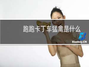 跑跑卡丁车猛禽是什么