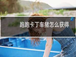 跑跑卡丁车猪怎么获得