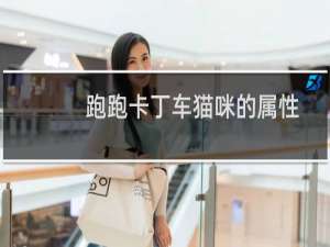 跑跑卡丁车猫咪的属性