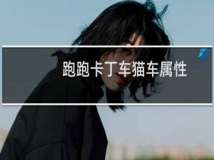 跑跑卡丁车猫车属性