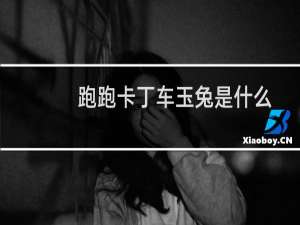 跑跑卡丁车玉兔是什么