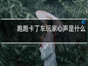 跑跑卡丁车玩家心声是什么