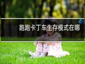 跑跑卡丁车生存模式在哪