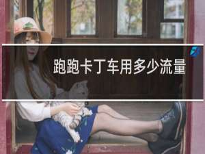 跑跑卡丁车用多少流量