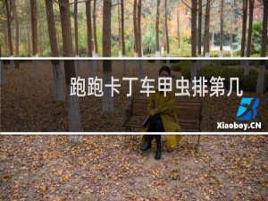 跑跑卡丁车甲虫排第几