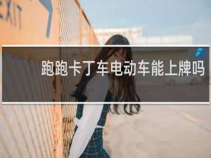 跑跑卡丁车电动车能上牌吗
