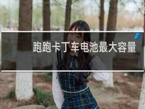 跑跑卡丁车电池最大容量