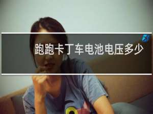 跑跑卡丁车电池电压多少