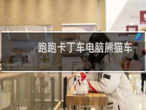 跑跑卡丁车电脑熊猫车