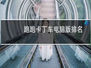 跑跑卡丁车电脑版排名
