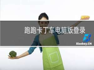 跑跑卡丁车电脑版登录