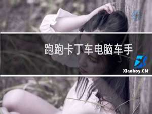跑跑卡丁车电脑车手