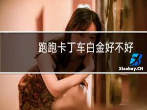 跑跑卡丁车白金好不好