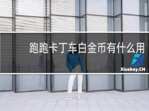 跑跑卡丁车白金币有什么用