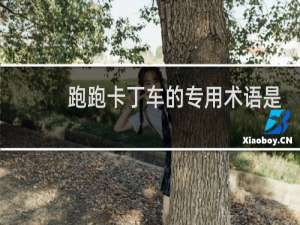 跑跑卡丁车的专用术语是