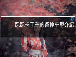 跑跑卡丁车的各种车型介绍