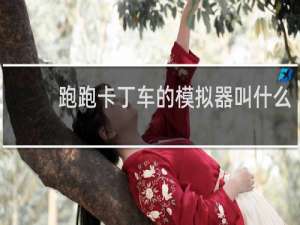 跑跑卡丁车的模拟器叫什么