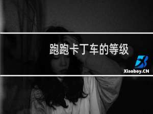 跑跑卡丁车的等级