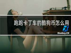 跑跑卡丁车的酷狗币怎么用