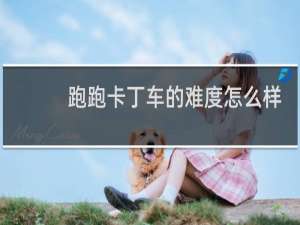 跑跑卡丁车的难度怎么样