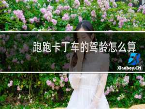 跑跑卡丁车的驾龄怎么算