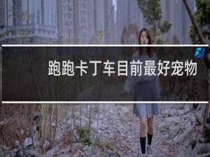 跑跑卡丁车目前最好宠物