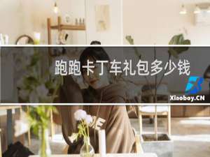 跑跑卡丁车礼包多少钱