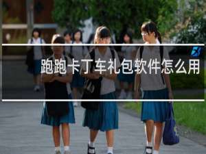 跑跑卡丁车礼包软件怎么用