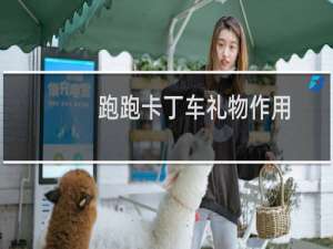 跑跑卡丁车礼物作用