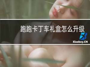 跑跑卡丁车礼盒怎么升级