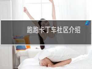 跑跑卡丁车社区介绍