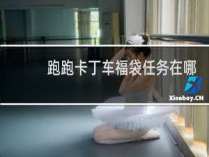 跑跑卡丁车福袋任务在哪