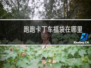 跑跑卡丁车福袋在哪里