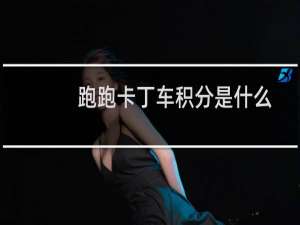 跑跑卡丁车积分是什么